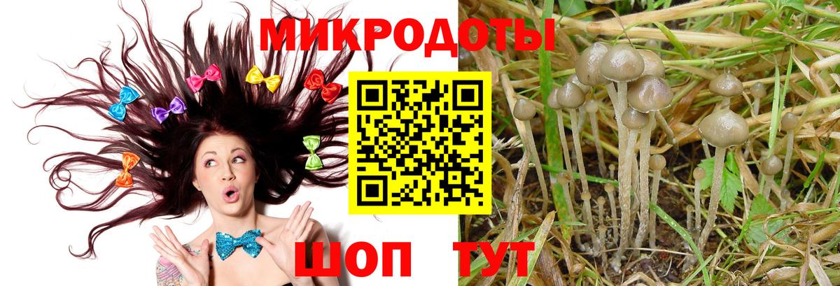 Галлюциногенные грибы Magic Shrooms  Вход с VPN  купить наркотики цена  Галлюциногенные грибы мицелий  Кингисепп 
