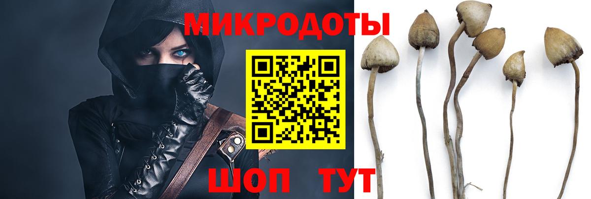 Галлюциногенные грибы GOLDEN TEACHER Кингисепп